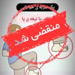 آموزش دفاع شخصی احسان رزم در تهران