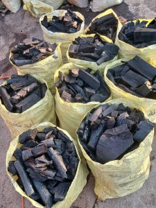 ذغال دابرانی در پیرانشهر