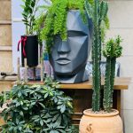 فروشگاه گل پیونی در رشت