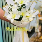 فروشگاه گل پیونی در رشت