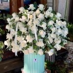 گل فروشی آرین در رشت