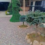 اجرای فضای سبز بین‌الملل در رشت