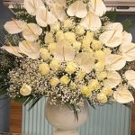 فروشگاه گل آوان در رشت