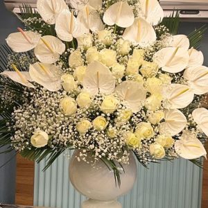 فروشگاه گل آوان در رشت