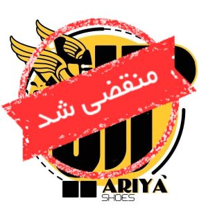 کتونی آریا در همدان