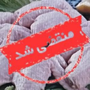 پروتئین چی در شیراز