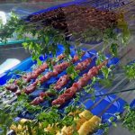 کبابی و قصابی روزانه در کرمان