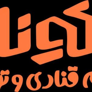 فروشگاه لوازم قنادی و تولدی یکبار مصرف کوکونات در فردیس