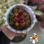 کبابی کیان در بابلسر