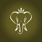 کافه فیل در شیراز