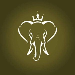 کافه فیل در شیراز