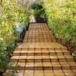 هتل سنتی شادمهر در نیشابور