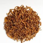 پرورش میلورم جوان در اصفهان