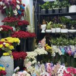 گل فروشی مینیاتور در قزوین