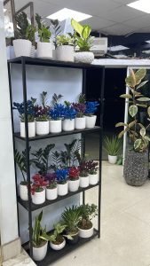 گل فروشی مینیاتور در قزوین