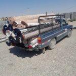 قالیشویی المپیک در همدان