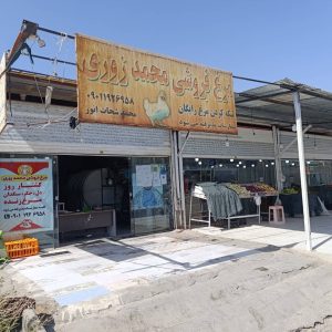 فروش مرغ زنده محمد زوری در زیباشهر زاهدان