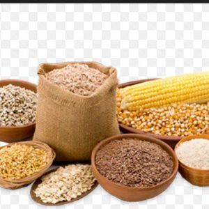 تولیدی خوراک دام ولی عصر در خمینی شهر