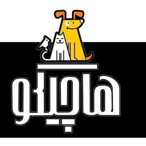 خدمات حیوانات خانگی هاچیکو در رشت