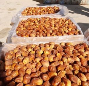 بازرگانی پخش خرمای طلایی در کرج