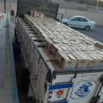 بازرگانی پخش خرمای طلایی در کرج