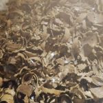 تولیدی خوراک دام ولی عصر در خمینی شهر