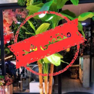 فروشگاه درختچه مصنوعی فلورانس در گوهردشت کرج