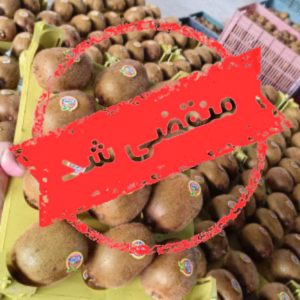 پخش و فروش صیفی جات و کیوی عباسی در تالش