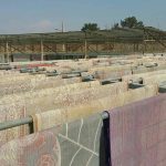 قالیشویی عادل نوعی در پاکدشت