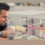 پانسیون حیوانات خانگی پیشی تو در مشهد