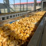 کارخانه تولیدی صیفی جات و مرکبات خشک سلامت در ماهدشت