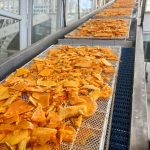 کارخانه تولیدی صیفی جات و مرکبات خشک سلامت در ماهدشت