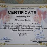 پرورش ماهی زینتی ایران گلد فیش در ساوه