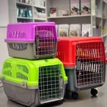 پت شاپ اسکان در تبریز