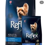 پت شاپ اسکان در تبریز