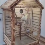 تولیدی قفس و کلبه چوبی حیوانات شکرزاده در ارومیه