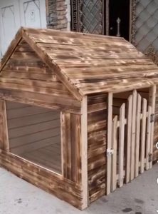 تولیدی قفس و کلبه چوبی حیوانات شکرزاده در ارومیه