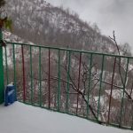 اجاره ویلا سرچشمه در علی آباد کتول