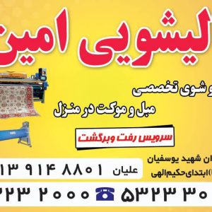 قالیشویی امین در شهرضا