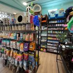 پت شاپ و گرومری میکا در کاشان