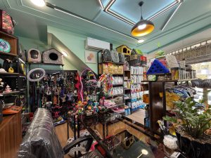 پت شاپ و گرومری میکا در کاشان