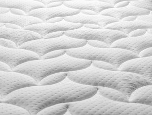 نمایندگی تشک رویا حجازی در سمنان