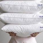 نمایندگی تشک رویا حجازی در سمنان