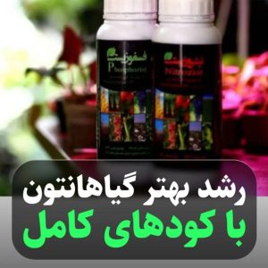 تولید و فروش کود و خاک گل سفید در لنگرود
