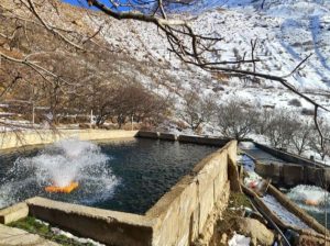 پرورش ماهی قزل آلا در نیشابور