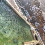 پرورش ماهی قزل آلا در نیشابور