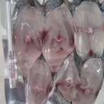 ماهی فروشی سرلک در بوشهر