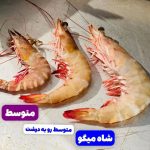 ماهی فروشی سرلک در بوشهر