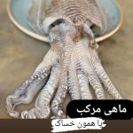 ماهی فروشی سرلک در بوشهر