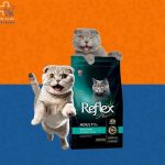 پت شاپ دکتر پلاس در مشهد